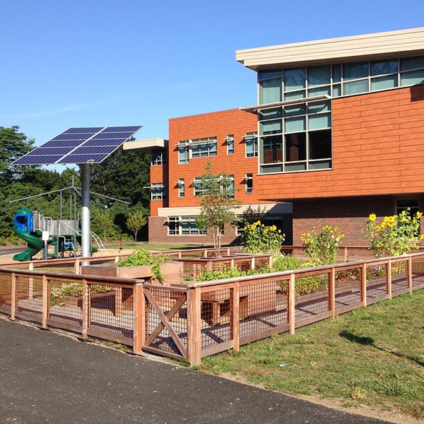 Bancroft Elementary School garden allotment with solar panel